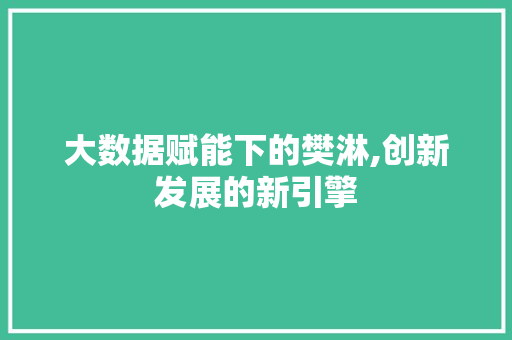 大数据赋能下的樊淋,创新发展的新引擎 百度SEO