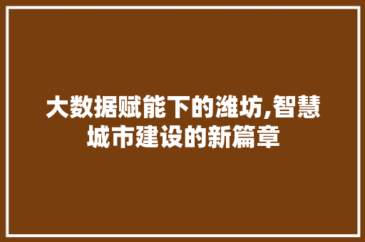 大数据赋能下的潍坊,智慧城市建设的新篇章 百度SEO