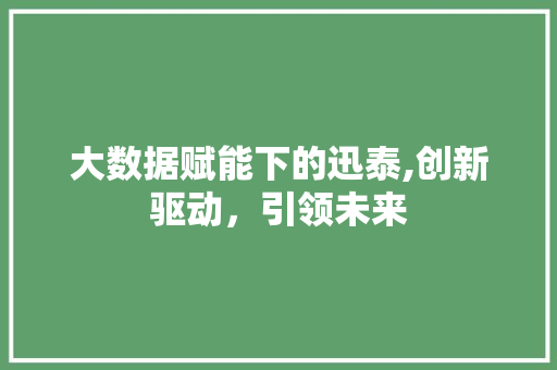 大数据赋能下的迅泰,创新驱动，引领未来