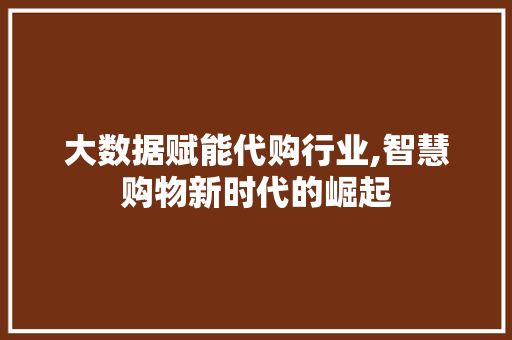 大数据赋能代购行业,智慧购物新时代的崛起 百度SEO