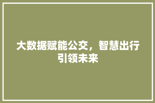 大数据赋能公交，智慧出行引领未来