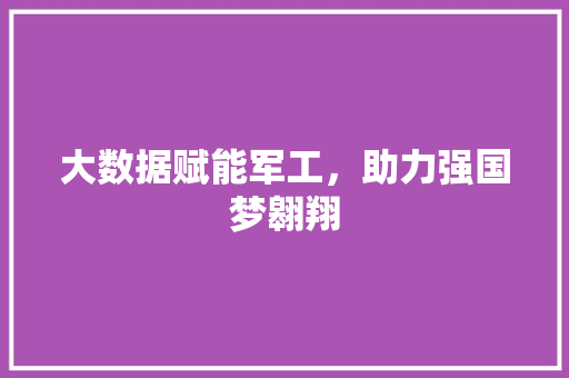大数据赋能军工，助力强国梦翱翔