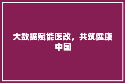 大数据赋能医改，共筑健康中国