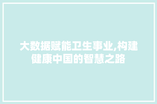 大数据赋能卫生事业,构建健康中国的智慧之路
