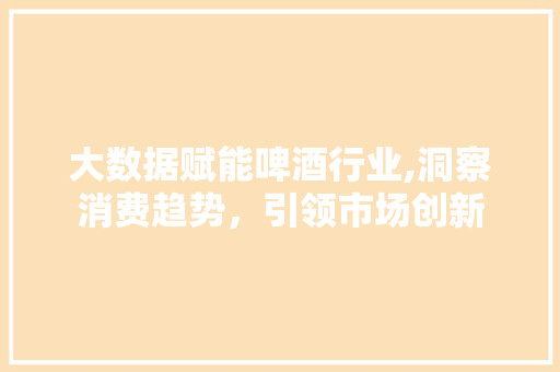 大数据赋能啤酒行业,洞察消费趋势，引领市场创新