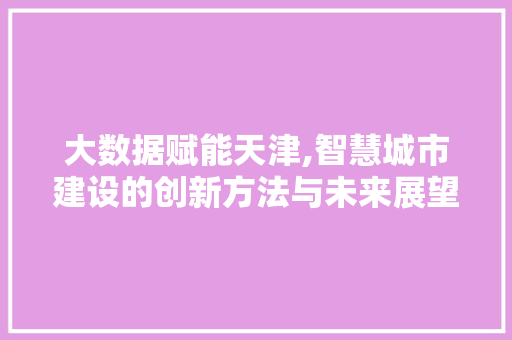 大数据赋能天津,智慧城市建设的创新方法与未来展望