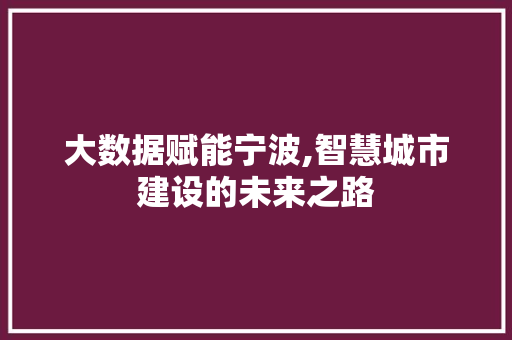 大数据赋能宁波,智慧城市建设的未来之路
