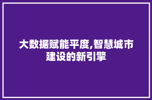 大数据赋能平度,智慧城市建设的新引擎