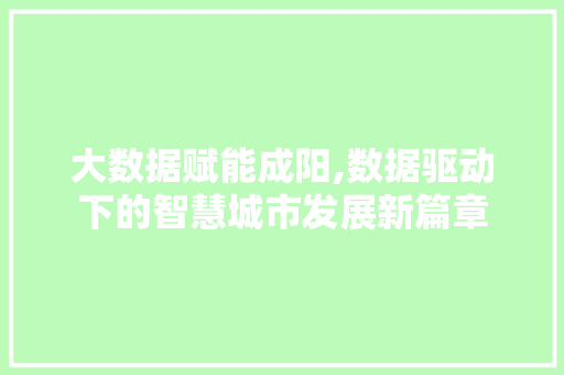 大数据赋能成阳,数据驱动下的智慧城市发展新篇章