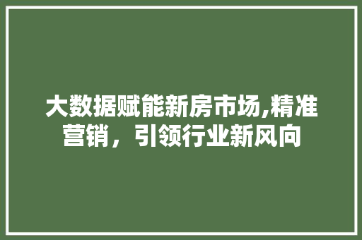 大数据赋能新房市场,精准营销，引领行业新风向