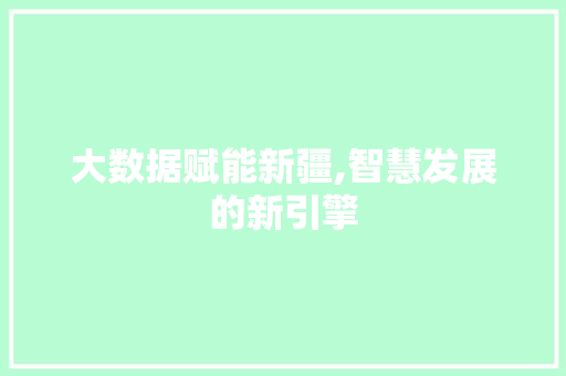 大数据赋能新疆,智慧发展的新引擎