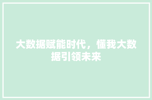 大数据赋能时代，懂我大数据引领未来