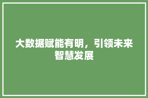 大数据赋能有明，引领未来智慧发展