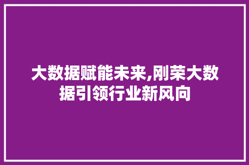 大数据赋能未来,刚荣大数据引领行业新风向