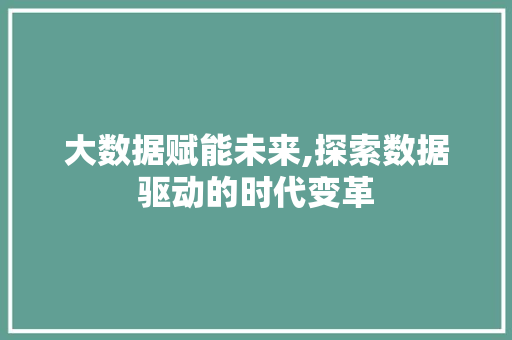 大数据赋能未来,探索数据驱动的时代变革