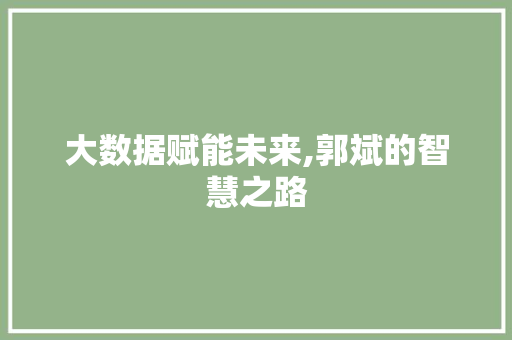 大数据赋能未来,郭斌的智慧之路