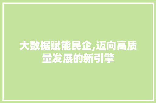大数据赋能民企,迈向高质量发展的新引擎