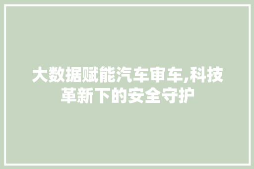 大数据赋能汽车审车,科技革新下的安全守护