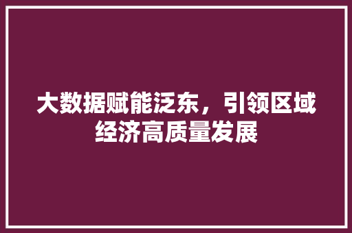 大数据赋能泛东，引领区域经济高质量发展
