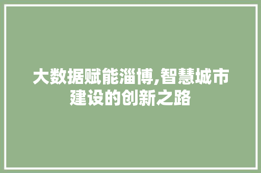 大数据赋能淄博,智慧城市建设的创新之路