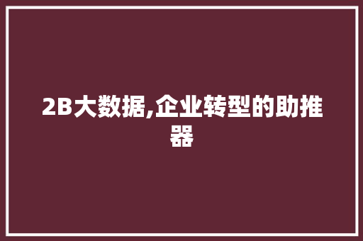 2B大数据,企业转型的助推器 百度SEO