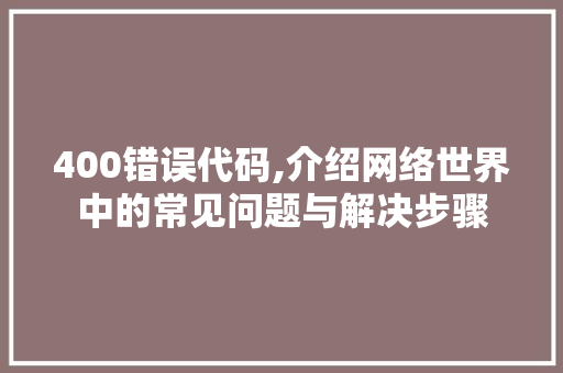 400错误代码,介绍网络世界中的常见问题与解决步骤