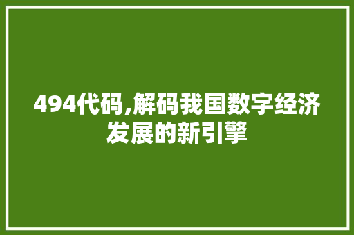 494代码,解码我国数字经济发展的新引擎 必应SEO