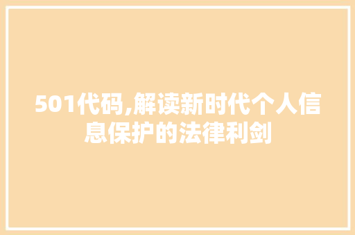 501代码,解读新时代个人信息保护的法律利剑 神马SEO