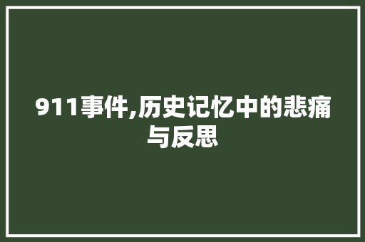 911事件,历史记忆中的悲痛与反思 百度SEO