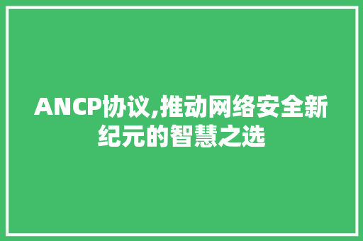 ANCP协议,推动网络安全新纪元的智慧之选 神马SEO