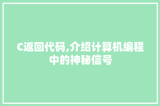C返回代码,介绍计算机编程中的神秘信号 必应SEO