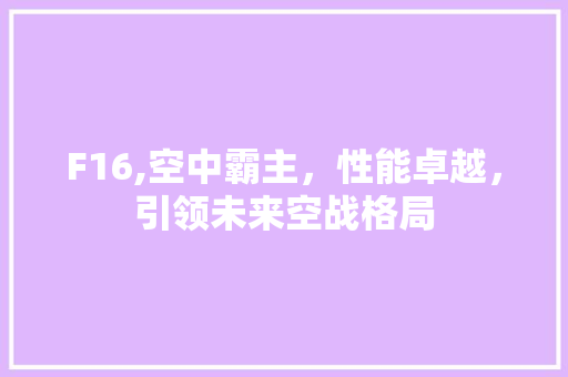 F16,空中霸主，性能卓越，引领未来空战格局 神马SEO
