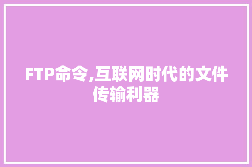 FTP命令,互联网时代的文件传输利器 百度SEO