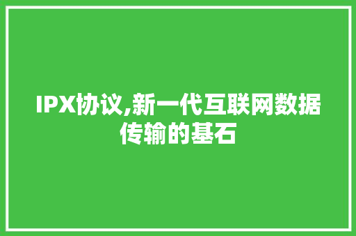 IPX协议,新一代互联网数据传输的基石 百度SEO