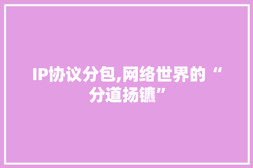 IP协议分包,网络世界的“分道扬镳” GoogleSEO