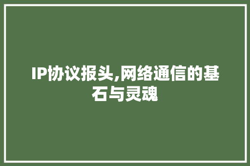 IP协议报头,网络通信的基石与灵魂 百度SEO