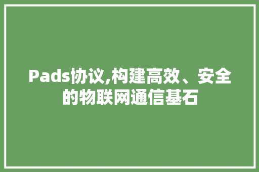 Pads协议,构建高效、安全的物联网通信基石 GoogleSEO