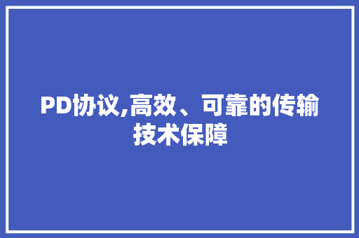 PD协议,高效、可靠的传输技术保障 搜狗SEO