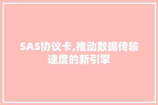 SAS协议卡,推动数据传输速度的新引擎