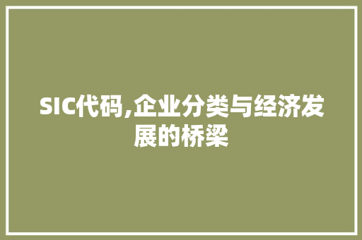 SIC代码,企业分类与经济发展的桥梁 GoogleSEO