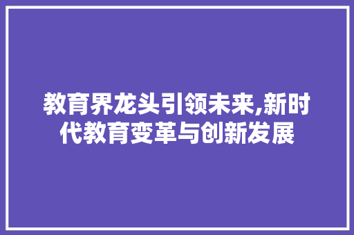 教育界龙头引领未来,新时代教育变革与创新发展 必应SEO