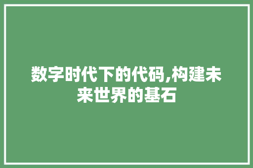 数字时代下的代码,构建未来世界的基石 神马SEO