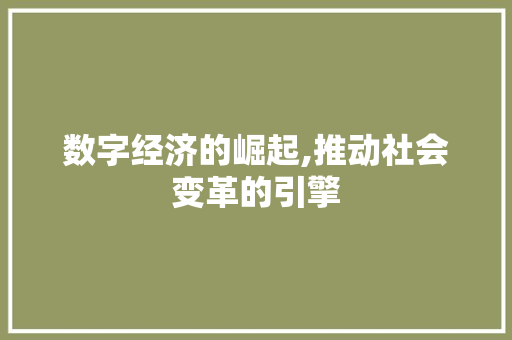数字经济的崛起,推动社会变革的引擎 必应SEO