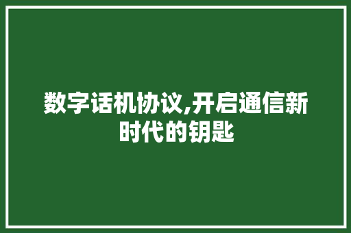 数字话机协议,开启通信新时代的钥匙 必应SEO