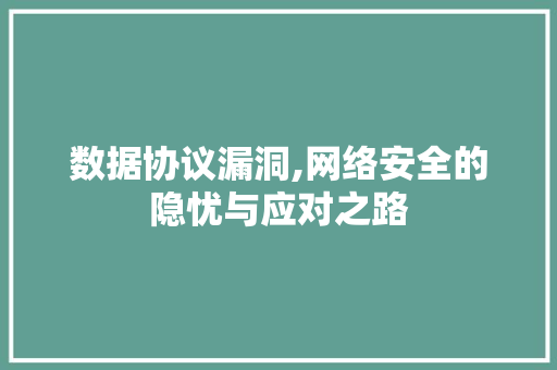 数据协议漏洞,网络安全的隐忧与应对之路 神马SEO