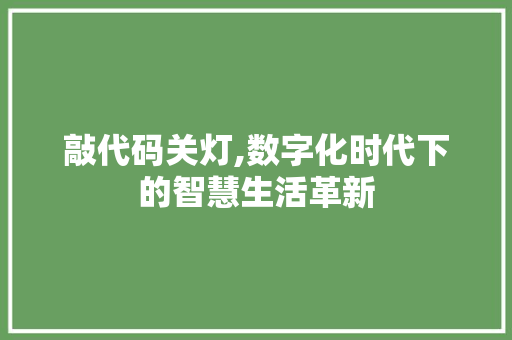 敲代码关灯,数字化时代下的智慧生活革新 搜狗SEO