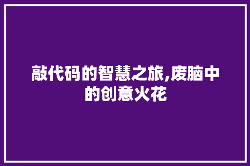 敲代码的智慧之旅,废脑中的创意火花 搜狗SEO