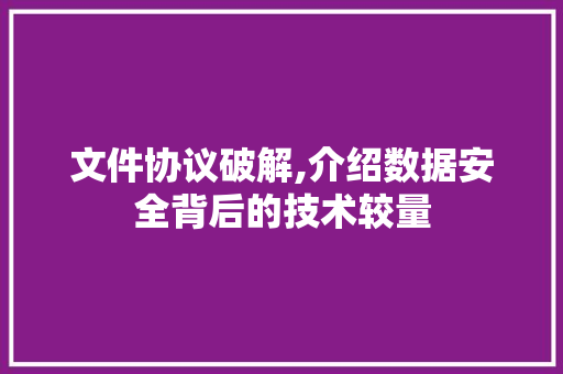 文件协议破解,介绍数据安全背后的技术较量