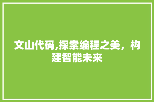 文山代码,探索编程之美，构建智能未来 百度SEO