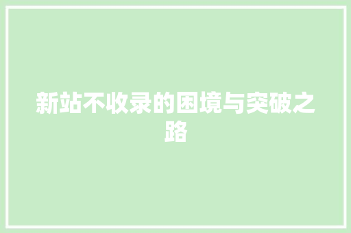 新站不收录的困境与突破之路
